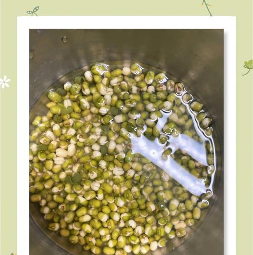 播种绿豆的时间是什么时候？最佳播种季节和方法是什么？