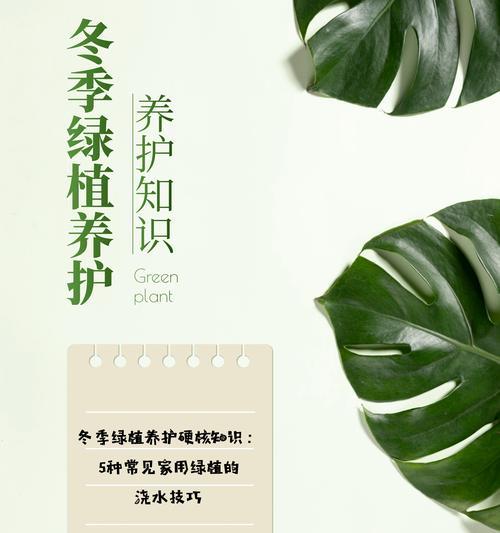 东北植物冬季如何正确浇水？有哪些技巧？