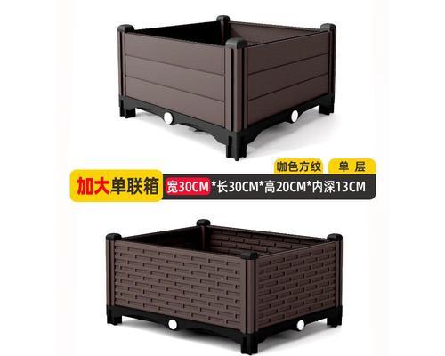 君子兰在花箱中的养殖技巧有哪些？