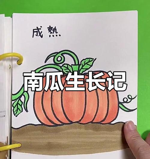 南瓜种子是如何传播的？