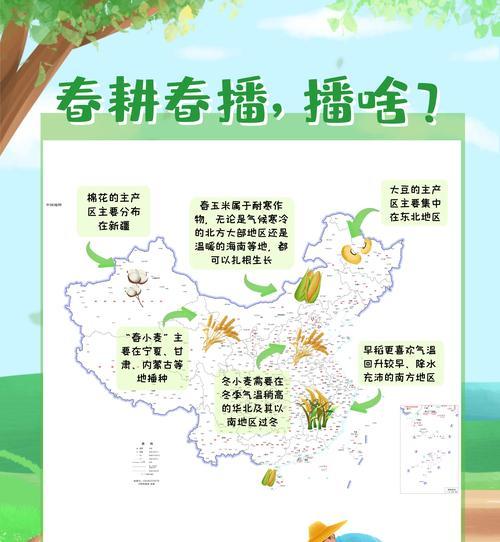 姑娘播种种子的最佳时机是什么时候？有哪些注意事项？