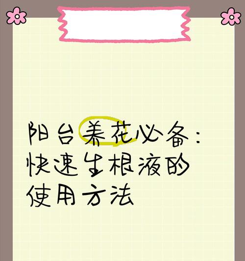 养花时如何先养好根部？