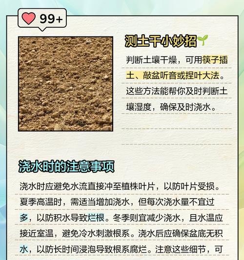 君子兰最佳浇水时间是什么时候？