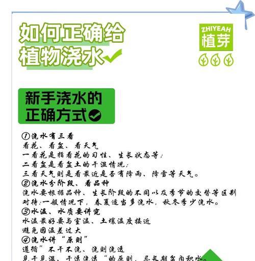 自动浇水手动设置步骤有哪些？