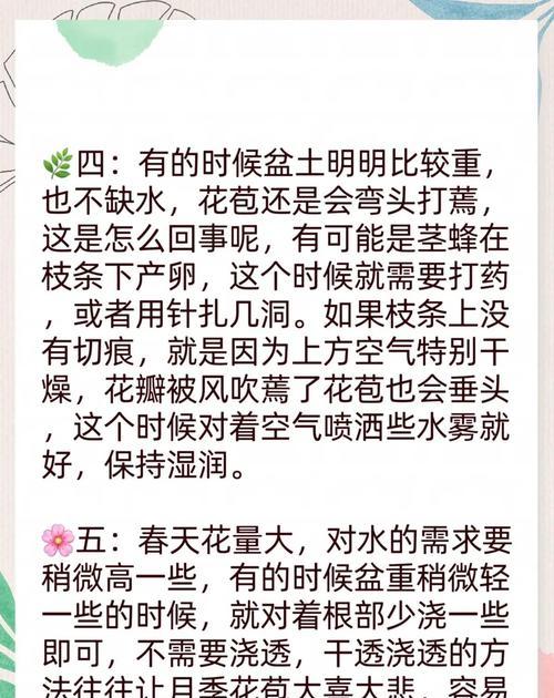 自动浇水手动设置步骤有哪些？