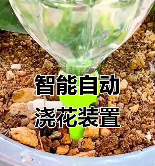 自动浇水手动设置步骤有哪些？