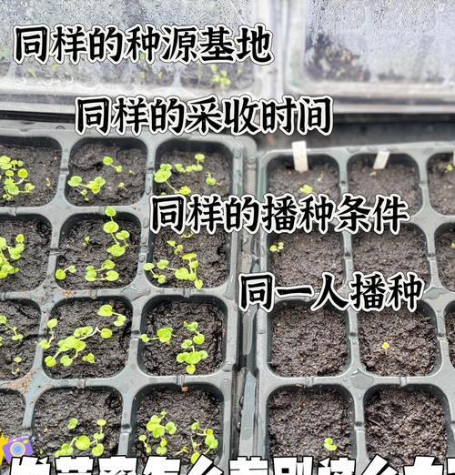 二次播种发芽时间是多久？