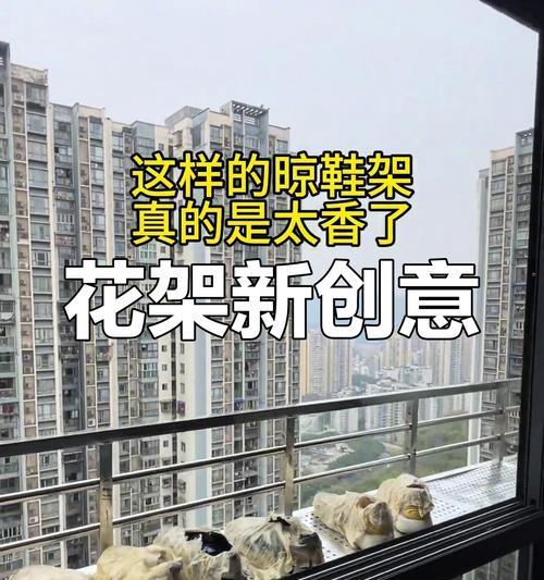 窗户阳台适合养什么花？如何打造美观阳台花园？