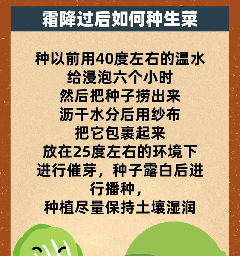 9月份种植生菜时如何正确浇水？