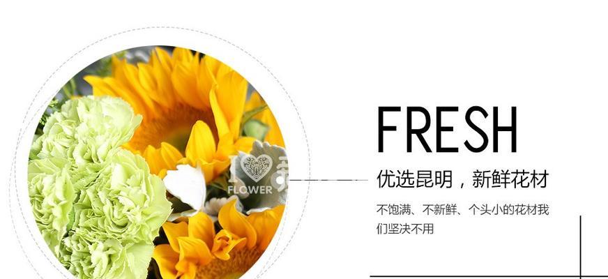 绿菊叶子发黄掉叶的解决办法是什么？