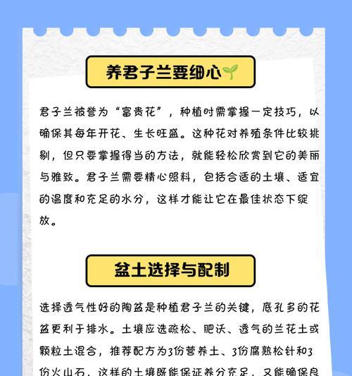 君子兰冬季栽培技巧有哪些？如何确保君子兰过冬？
