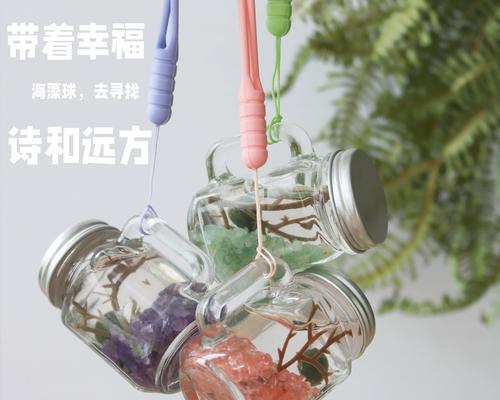 水瓶内适合种植哪些观赏植物？