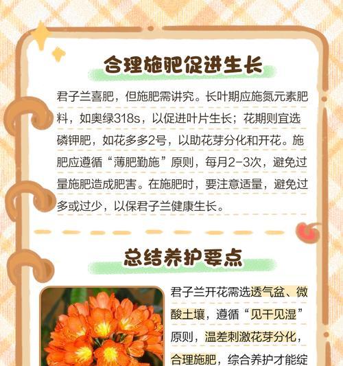 君子兰怎么才能快速长？有哪些有效的养护技巧？
