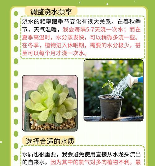 油辣浇水正确方法是什么？如何避免过度浇水？