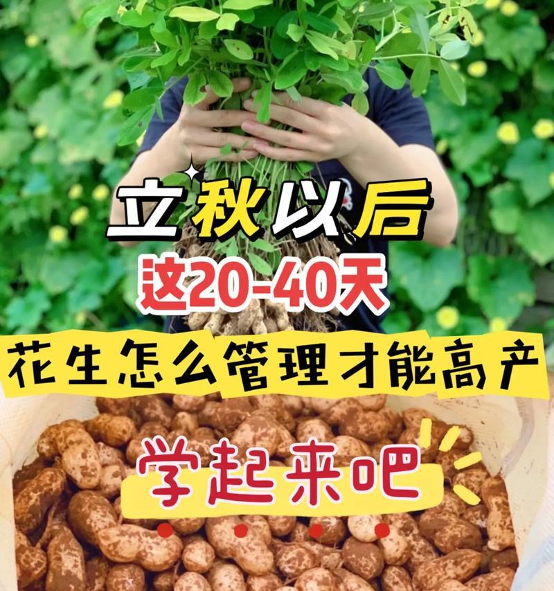 江西地区花生的最佳播种时间是什么时候？