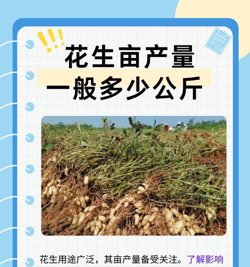 江西地区花生的最佳播种时间是什么时候？
