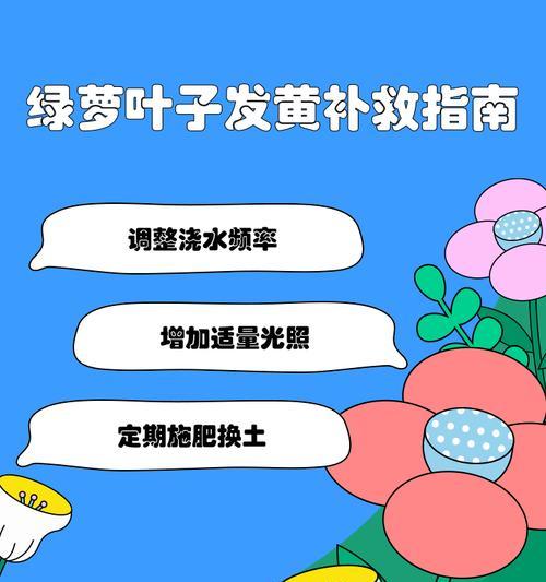 水培玉绿萝叶子发黄的原因是什么？