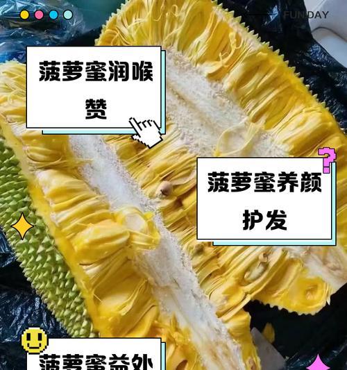 菠萝蜜叶子发黄的可能原因是什么？