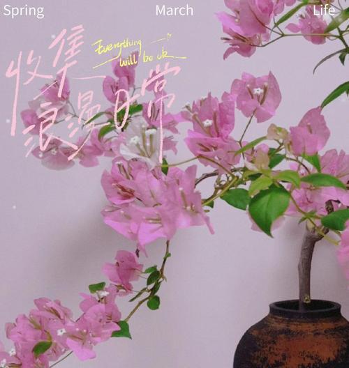 高脚三角梅的种植方法是什么？有哪些注意事项？