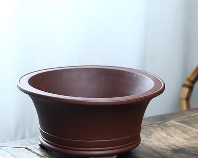 盆景定型圆圈制作方法是什么？如何正确使用？