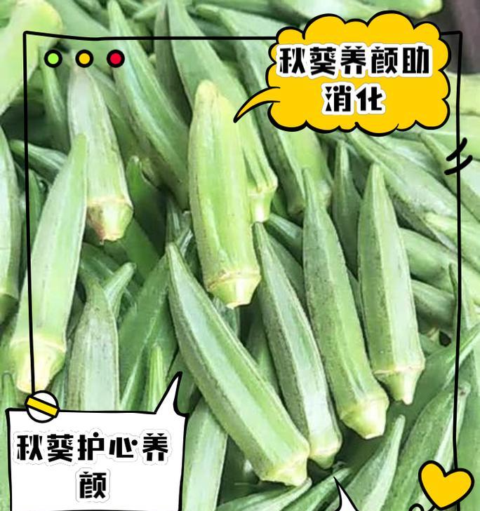 湖南地区秋葵的最佳播种时间是什么时候？