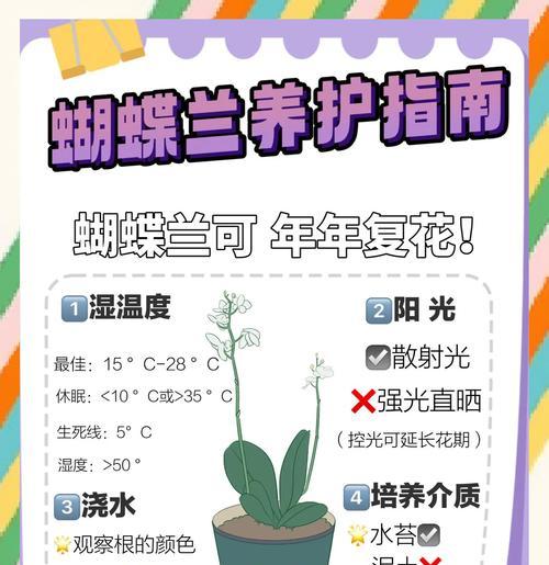 胡蝶兰的养殖栽培技术是什么？