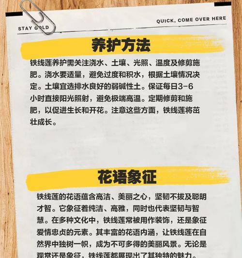 铁线莲忌积水吗怎么养？铁线莲的正确养护方法是什么？