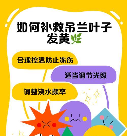 冬天室外蔬菜叶子发黄的处理方法是什么？