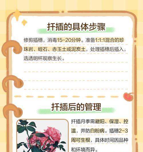 月季扦插双层膜使用方法是什么？
