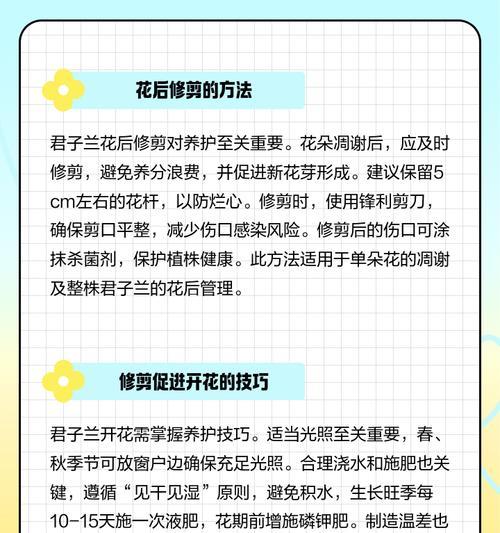 如何快速养护君子兰促使其开花？