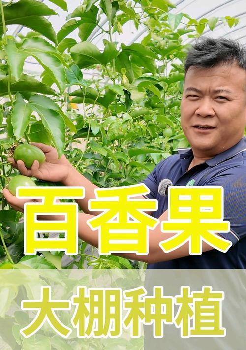 百香果栽培技术有哪些详细资料？