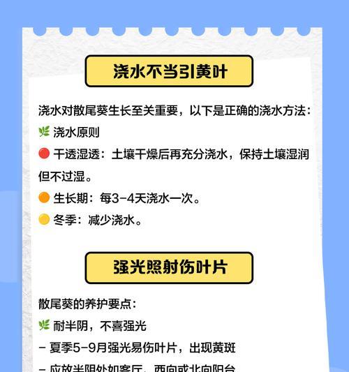 太阳花叶子发黄掉光怎么办？如何进行救治？