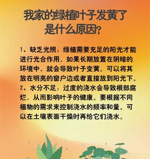 芸豆叶子发黄是什么原因？如何解决？