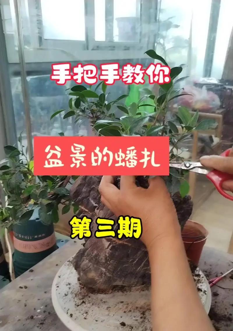 盆景盆的烧制工艺有哪些？