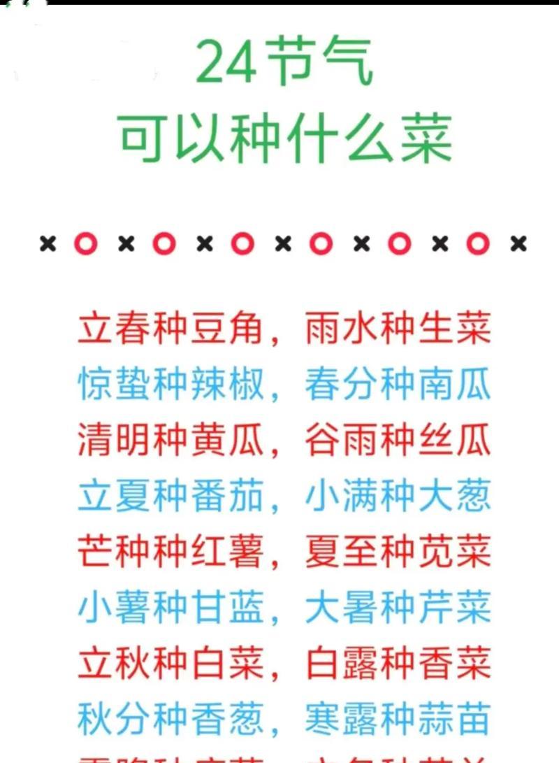 青菜种植有哪些小经验？如何提高青菜产量？