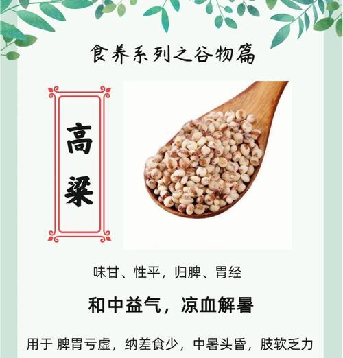 高粱栽培技术规程有哪些？具体步骤是什么？