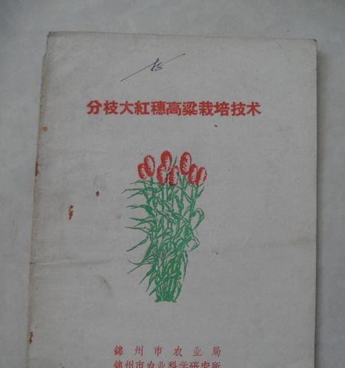 高粱栽培技术规程有哪些？具体步骤是什么？