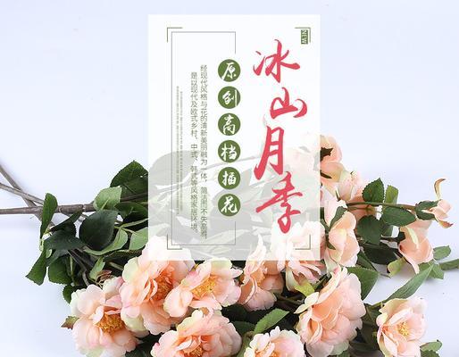 单枝月季开花后剪枝的最佳方法是什么？