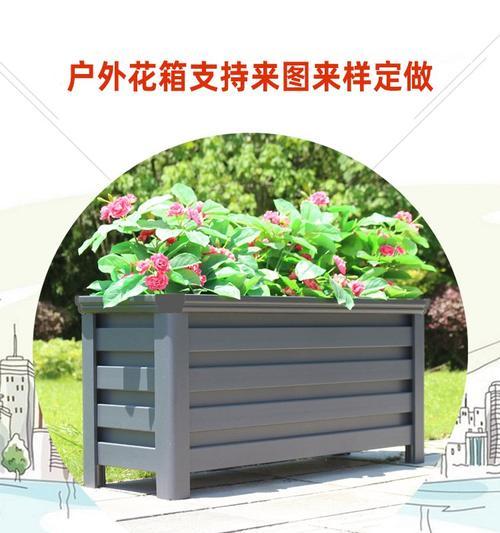 阳台花箱选择时应该注意哪些要点？