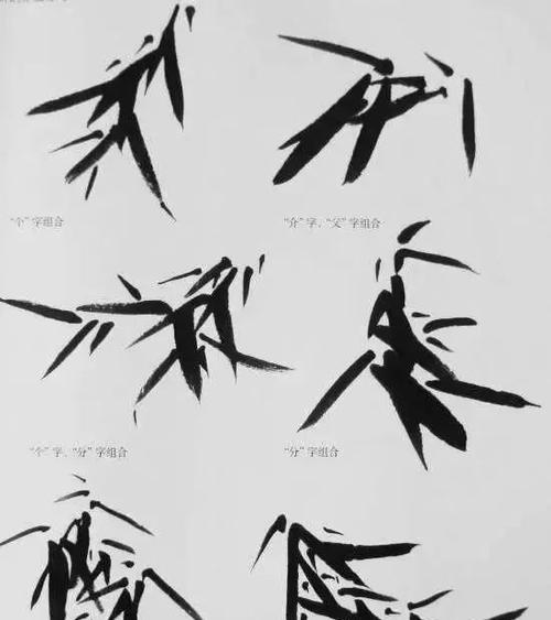 一叶竹叶子发黄的解决措施有哪些？