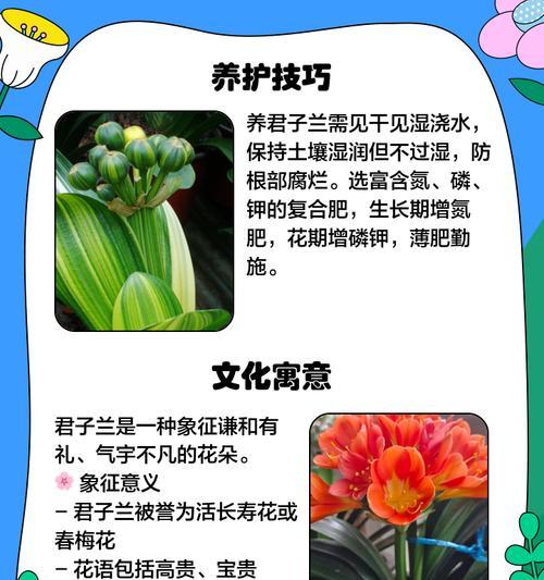 上海地区君子兰的别称是什么？