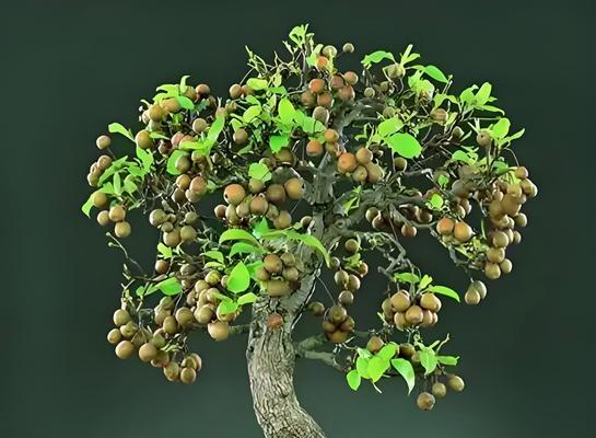 梨树轻简高效栽培技术包括哪些？