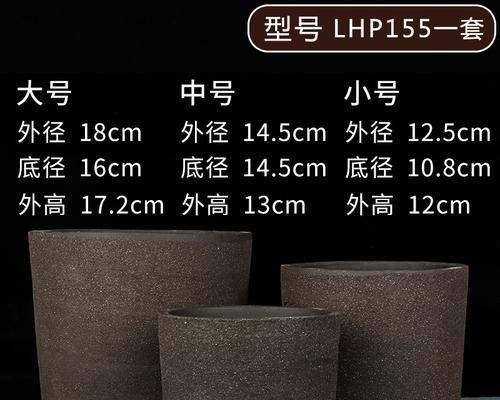 君子兰造型工具使用方法是什么？如何正确使用？