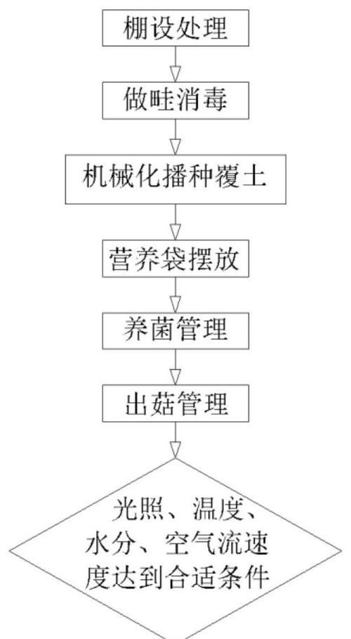 养菌种植有哪些栽培技术？如何正确进行养菌种植？