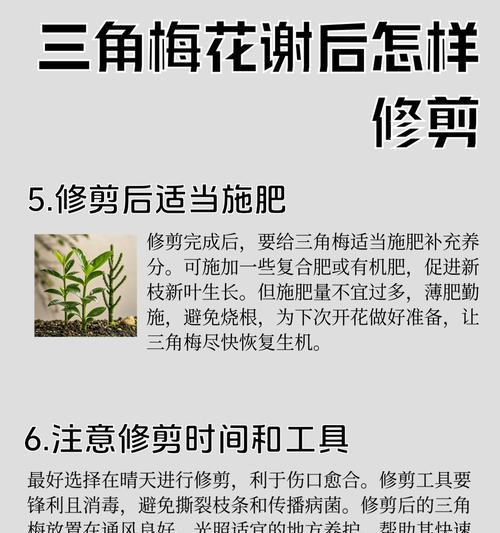 三角梅蓟马的消除方法是什么？