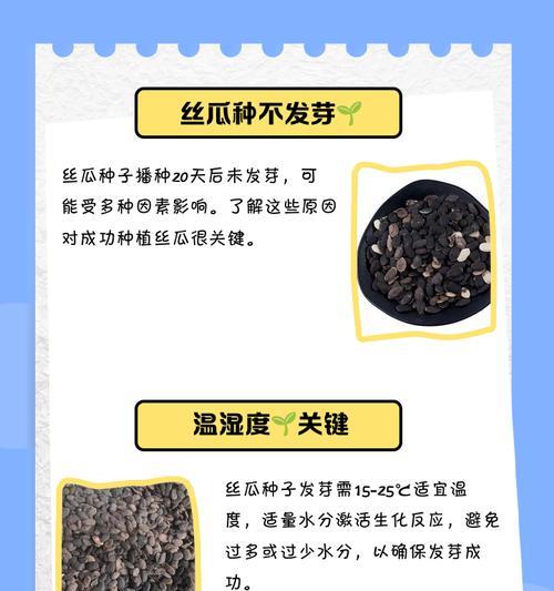 宁波播种丝瓜的最佳时间是什么时候？