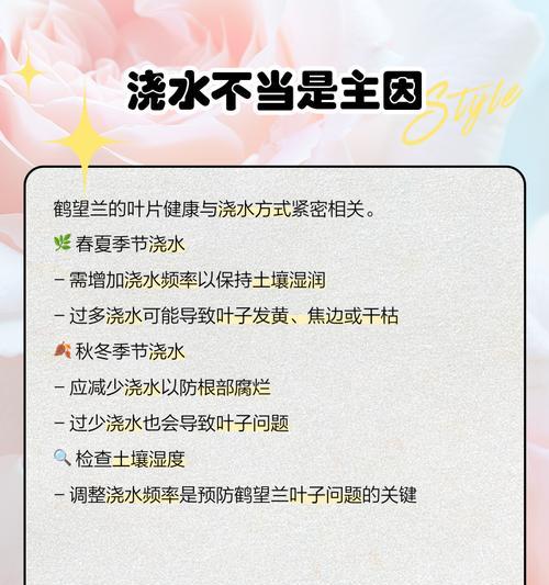 种菜叶子发黄焦边的原因是什么？如何解决蔬菜叶子问题？