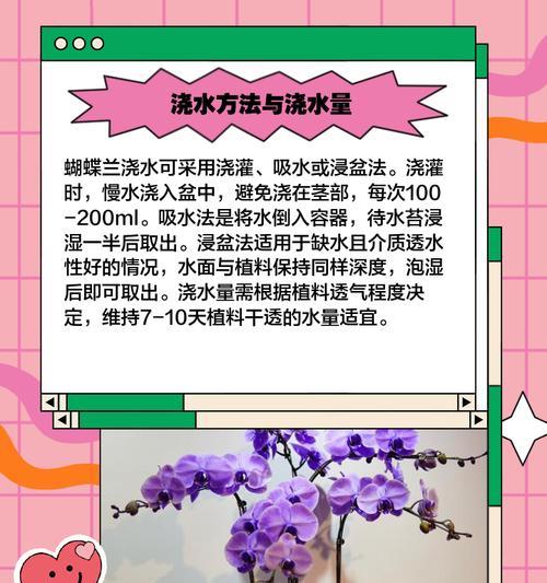 如何实现便捷浇水？有哪些方法推荐？
