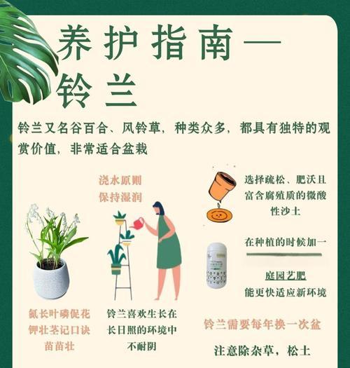 如何实现便捷浇水？有哪些方法推荐？