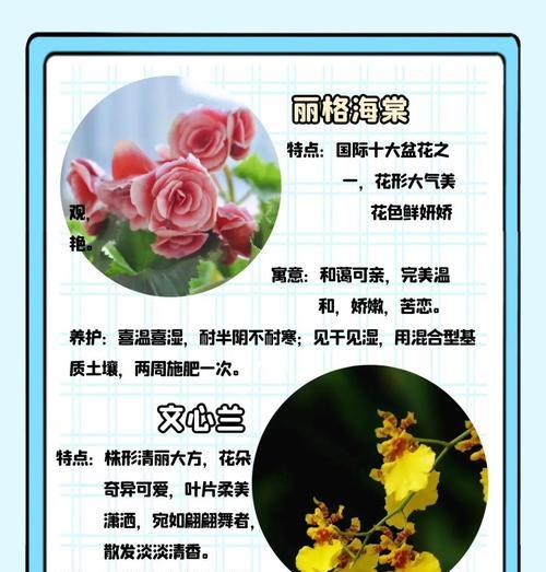 五十多种野生花卉名称有哪些？如何识别和养护？